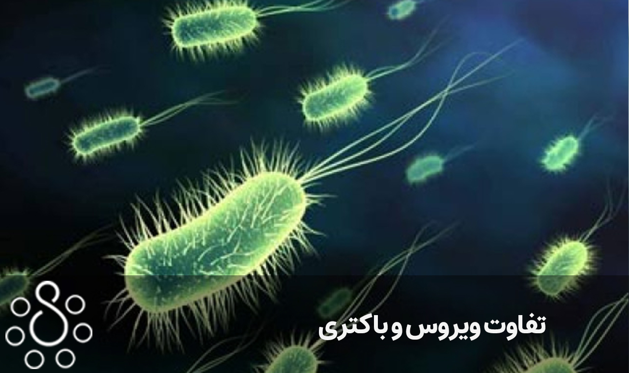 تفاوت ویروس و باکتری